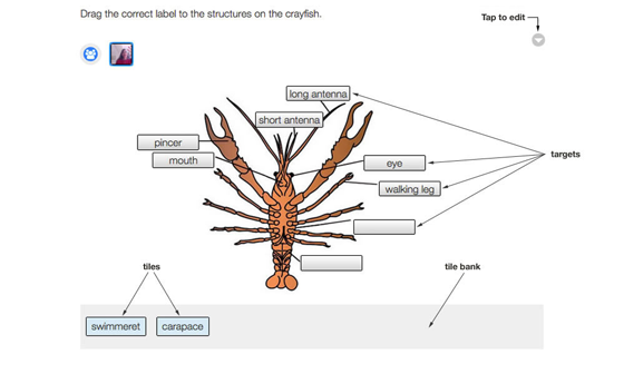 exploros-drag-and-drop-text-to-image